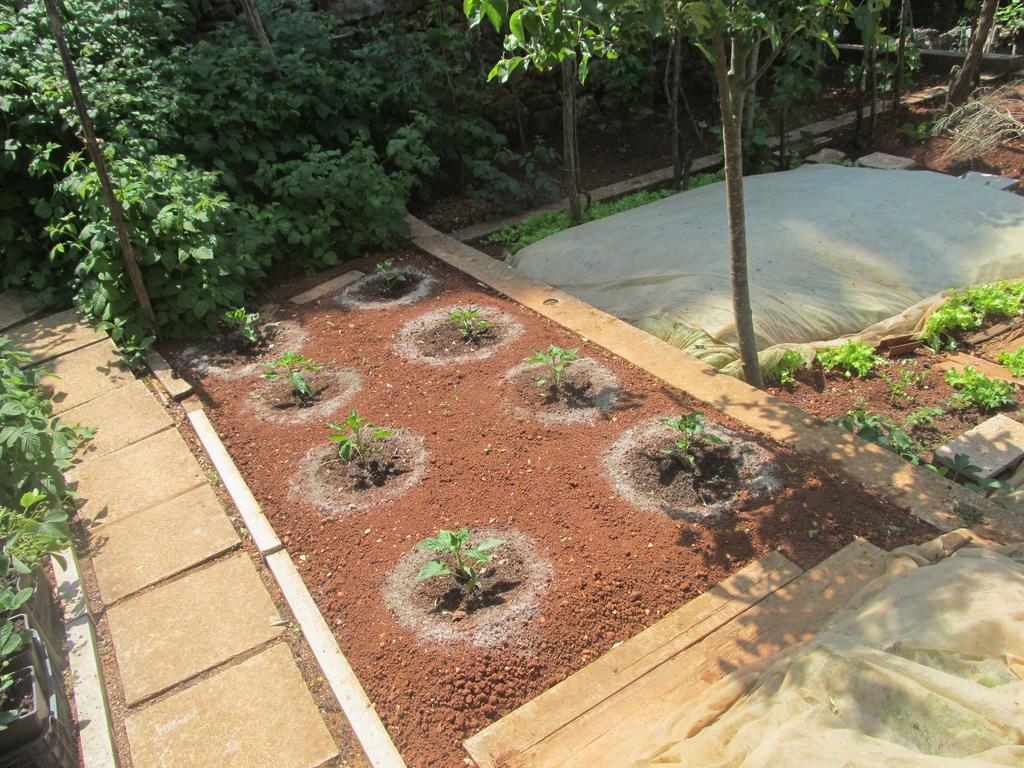 Apartment Artusi พูลา ห้อง รูปภาพ