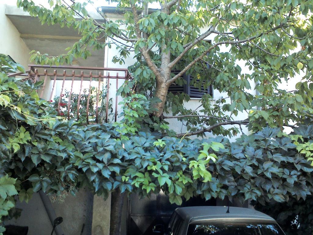 Apartment Artusi พูลา ห้อง รูปภาพ